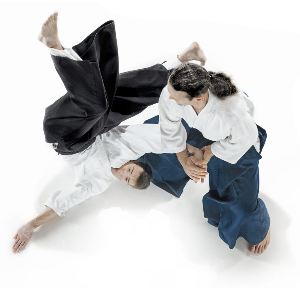 Aikido Pondok Bambu Jakarta Timur